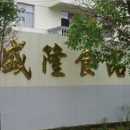 山东盛隆食品
